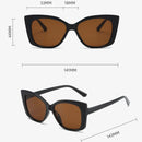 Visio CLASSIC™ — Estilo que acompanha seu ritmo.